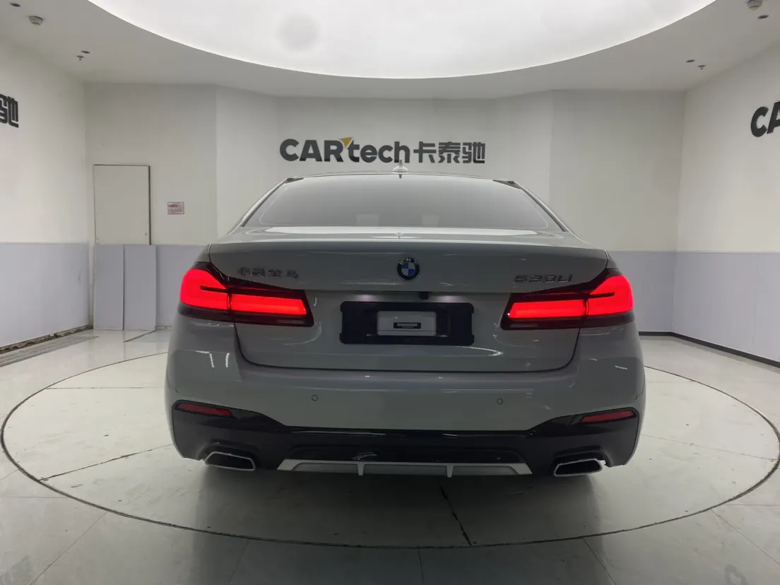 BMW 530Li, 2023 6