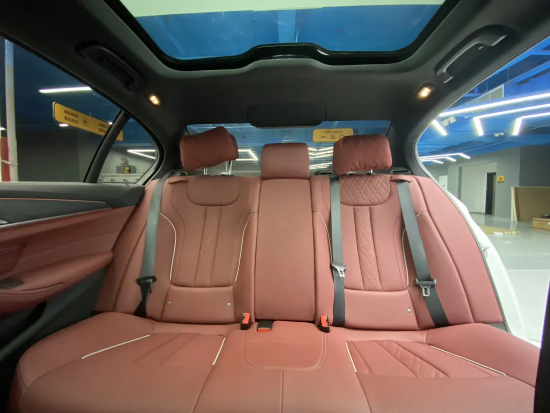 BMW 530Li, 2023 22