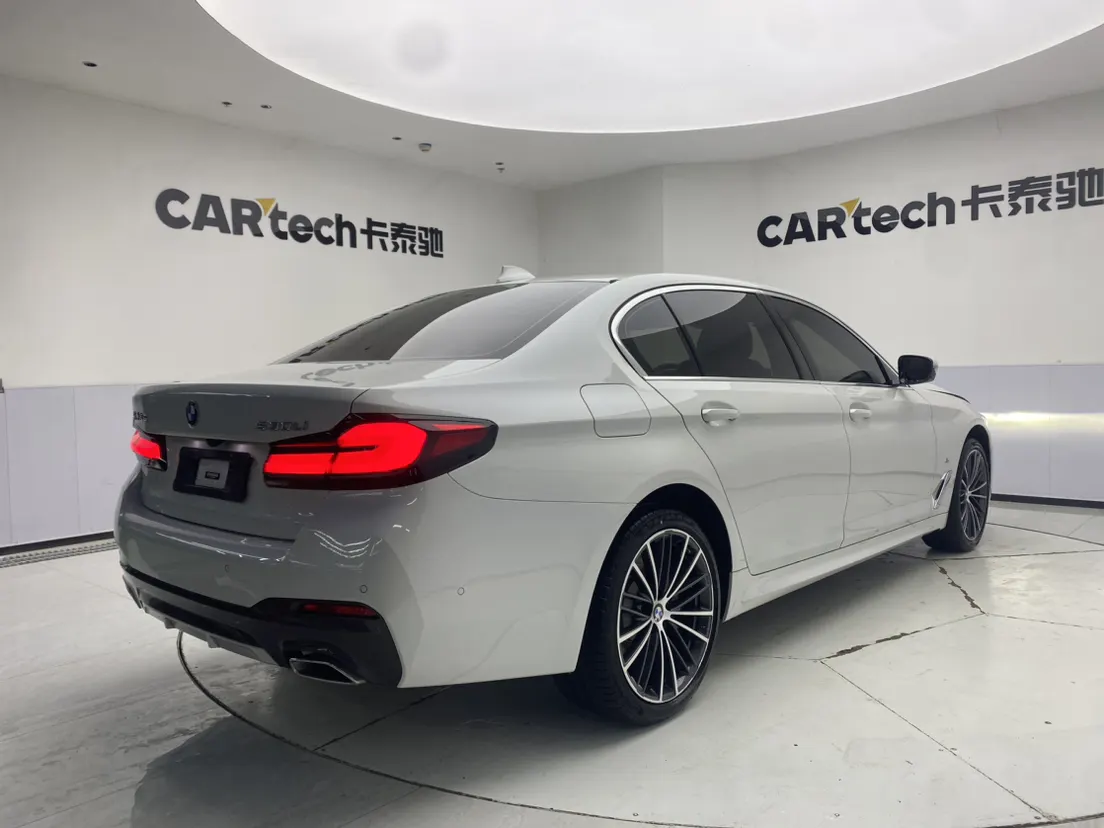 BMW 530Li, 2023 все фото