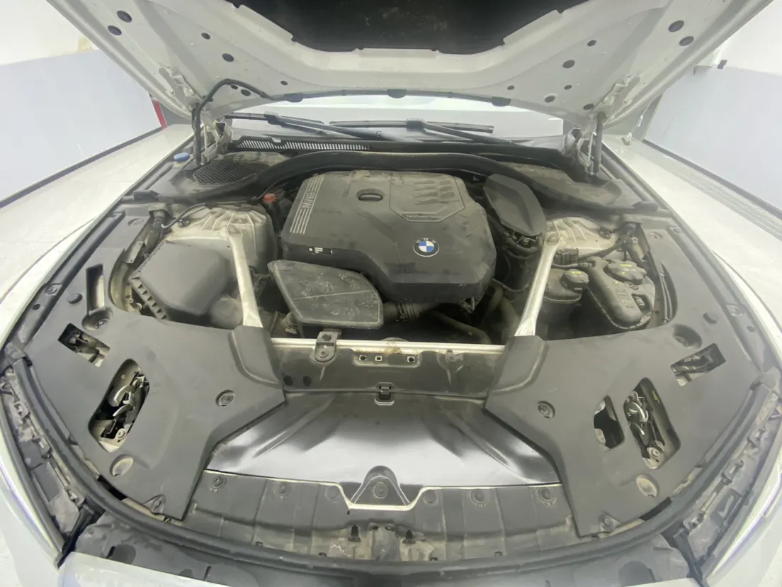 BMW 530Li, 2023 12