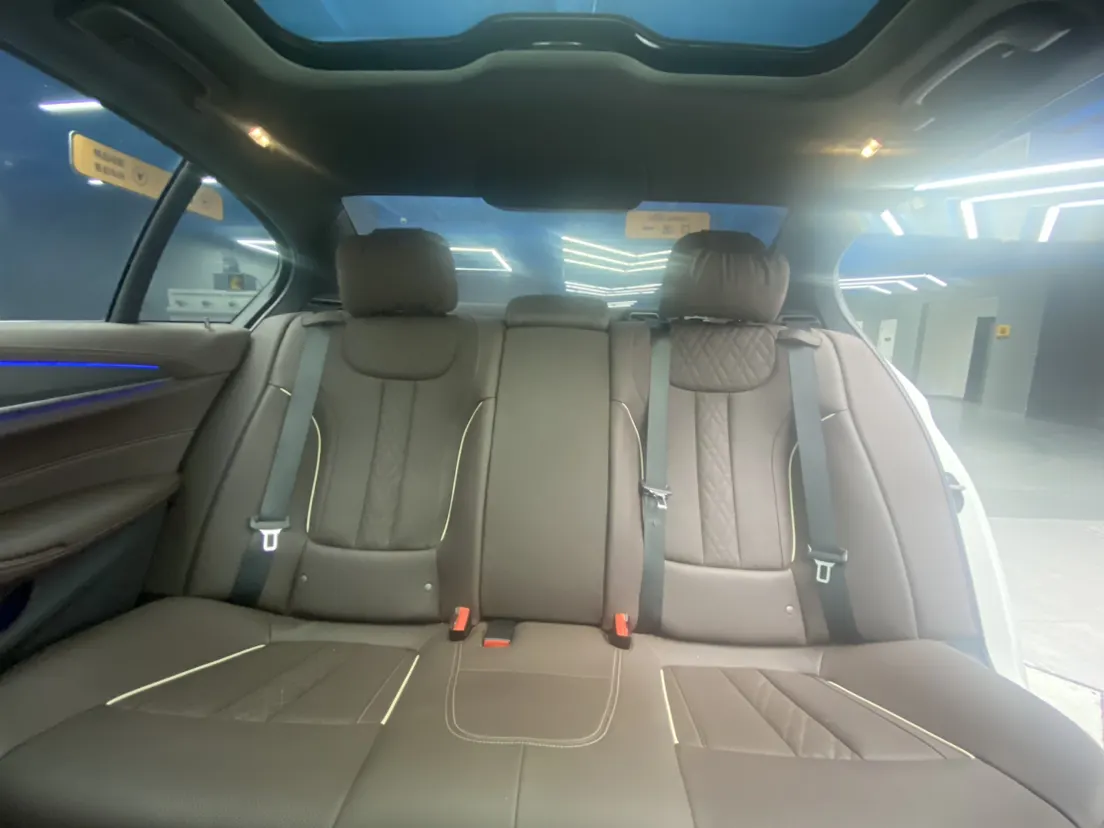 BMW 530Li, 2023 22