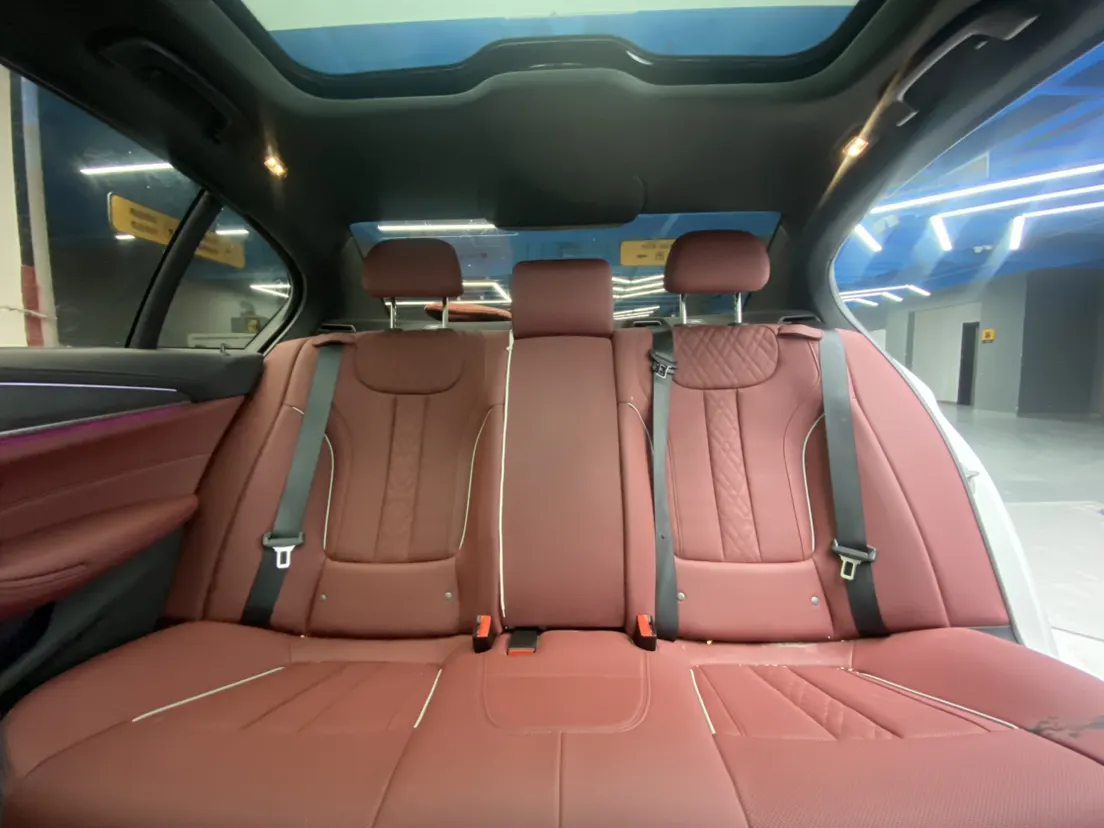 BMW 530Li, 2023 21