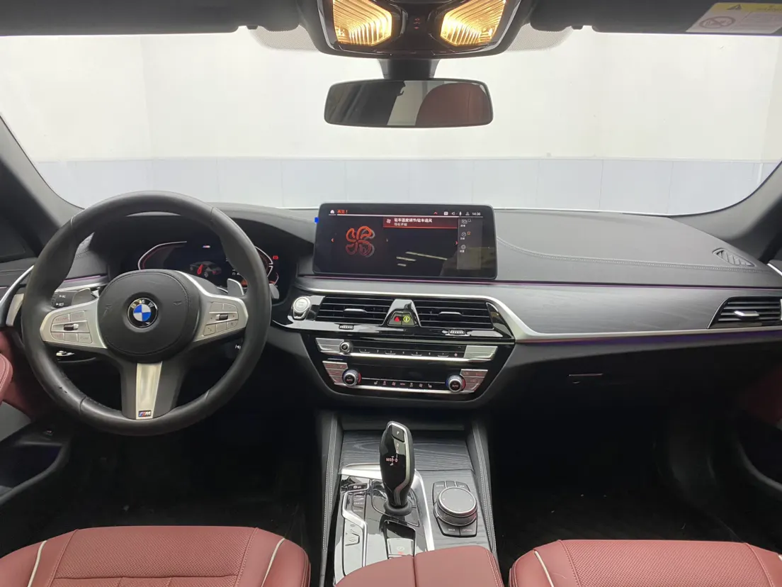 BMW 530Li, 2023 15