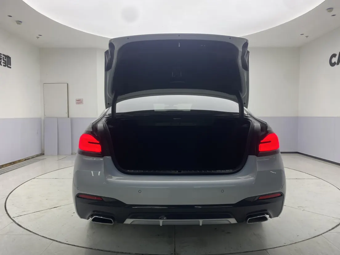 BMW 530Li, 2023 29
