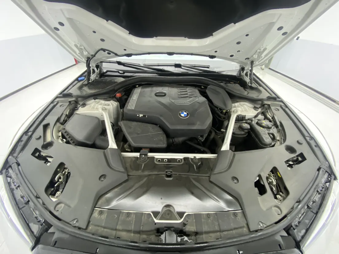 BMW 530Li, 2023 12
