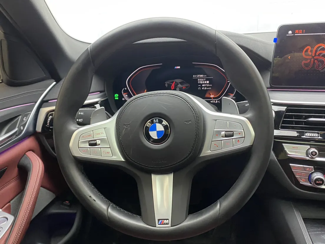 BMW 530Li, 2023 16