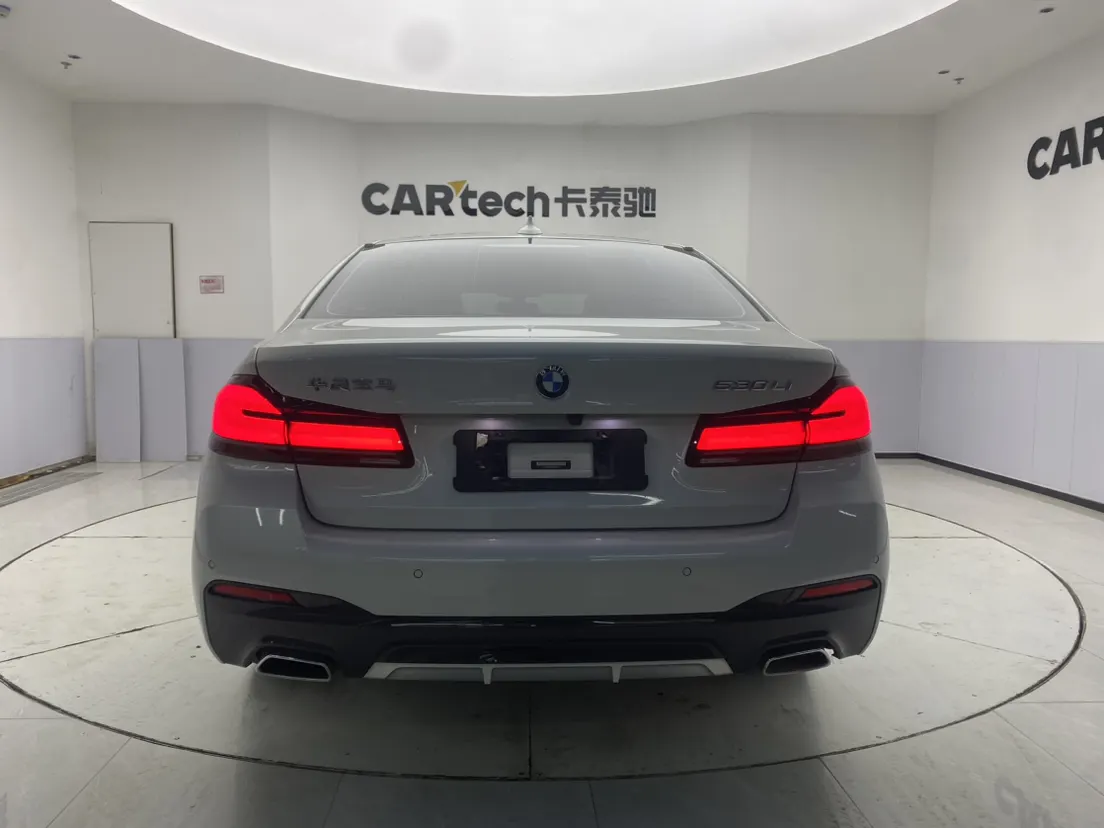 BMW 530Li, 2023 6