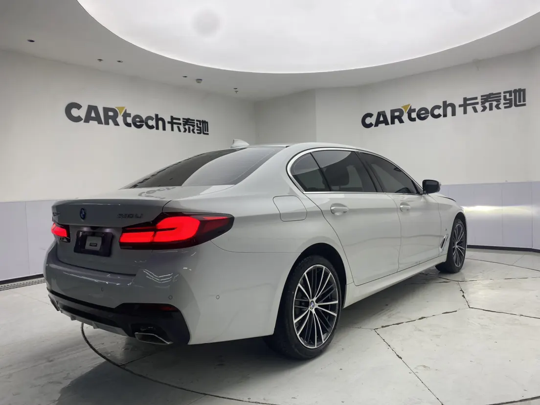BMW 530Li, 2023 все фото