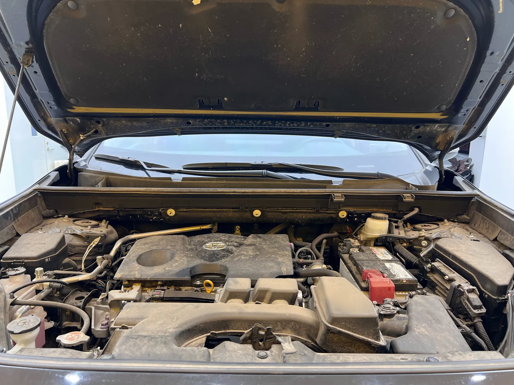 Toyota Wildlander, 2024 10
