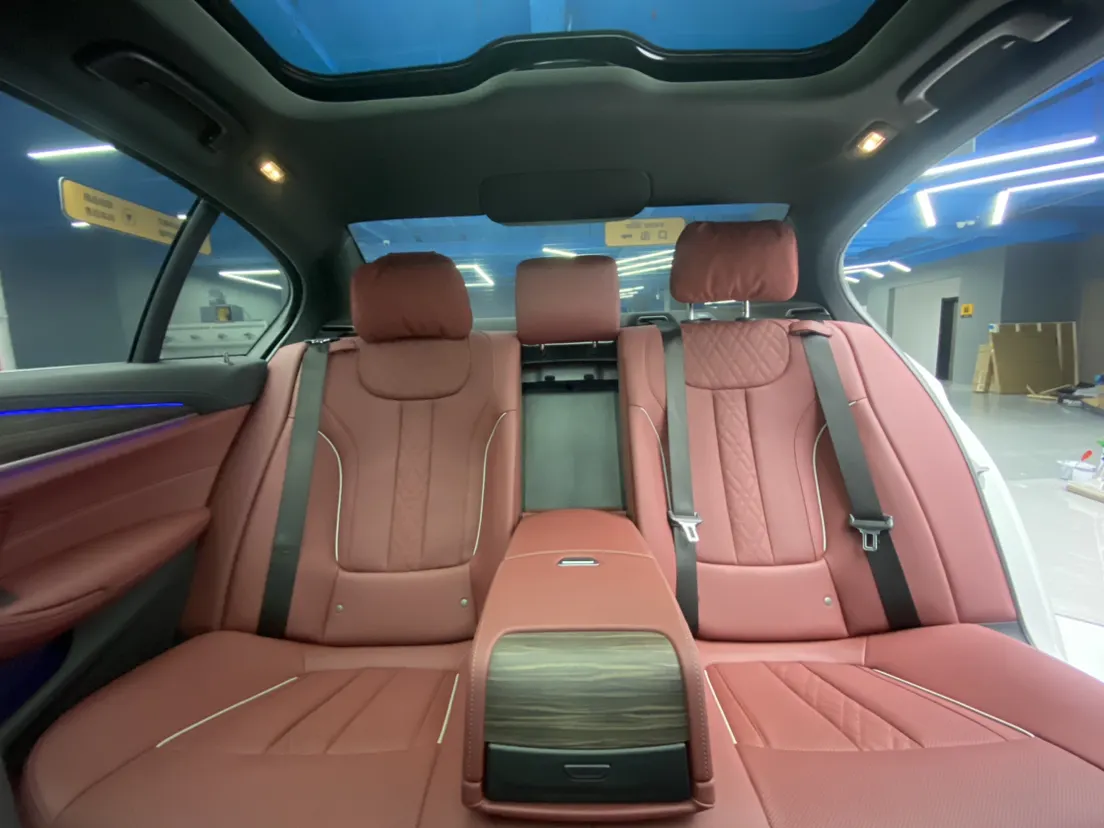 BMW 530Li, 2022 19