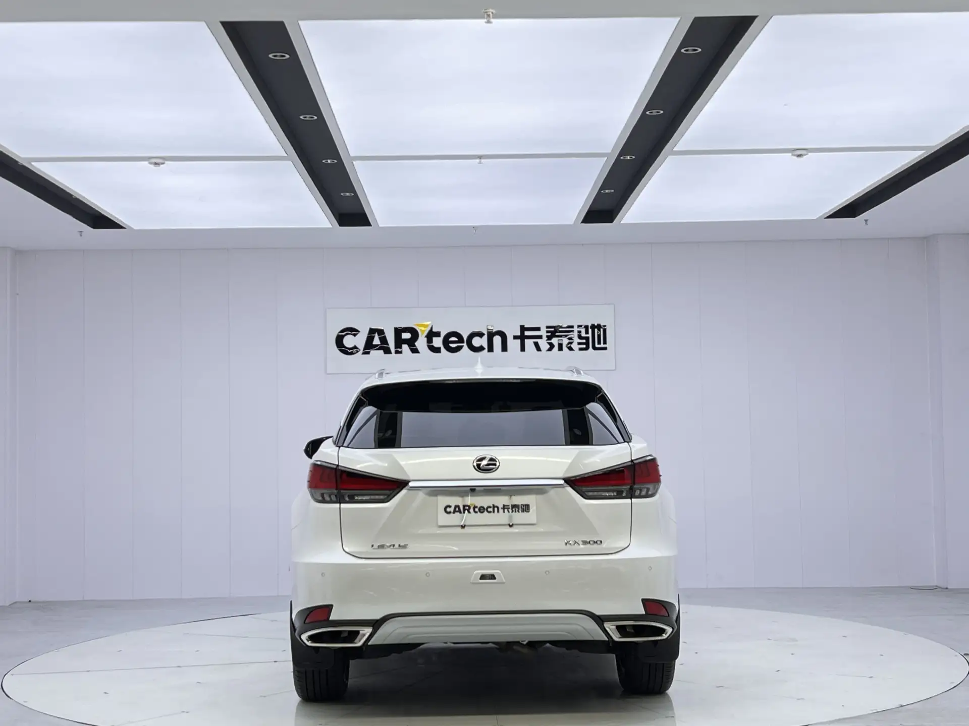 Lexus RX 202, 2022 6