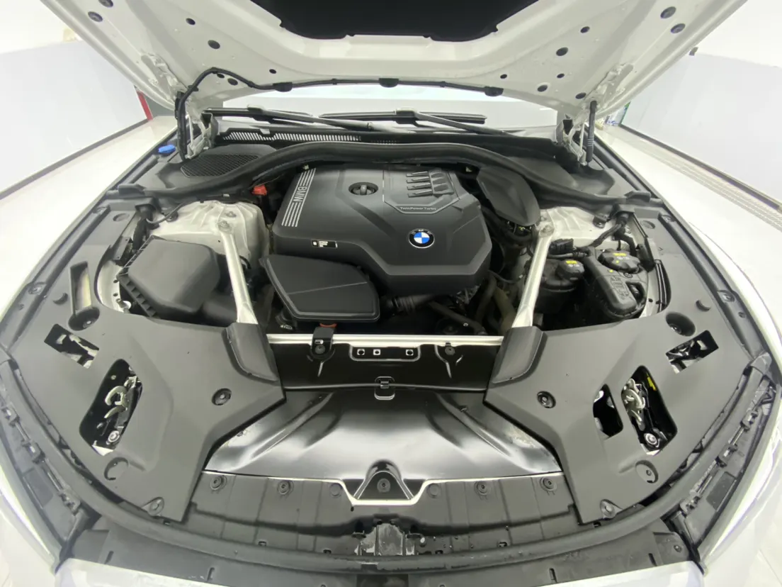 BMW 530Li, 2022 12