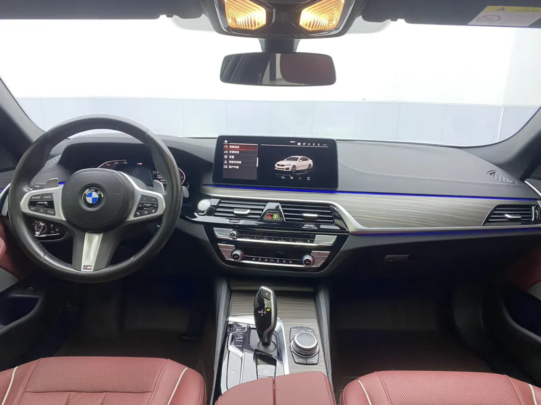 BMW 530Li, 2022 13