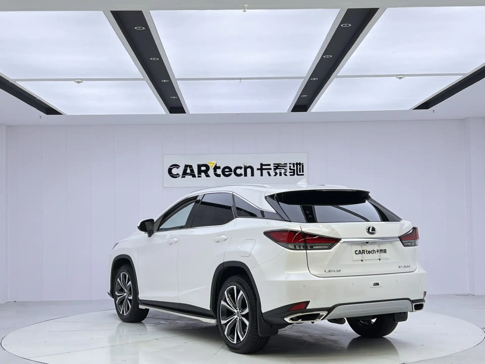 Lexus RX 202, 2022 7