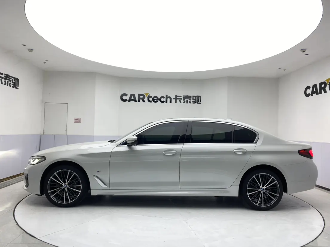 BMW 530Li, 2022 8
