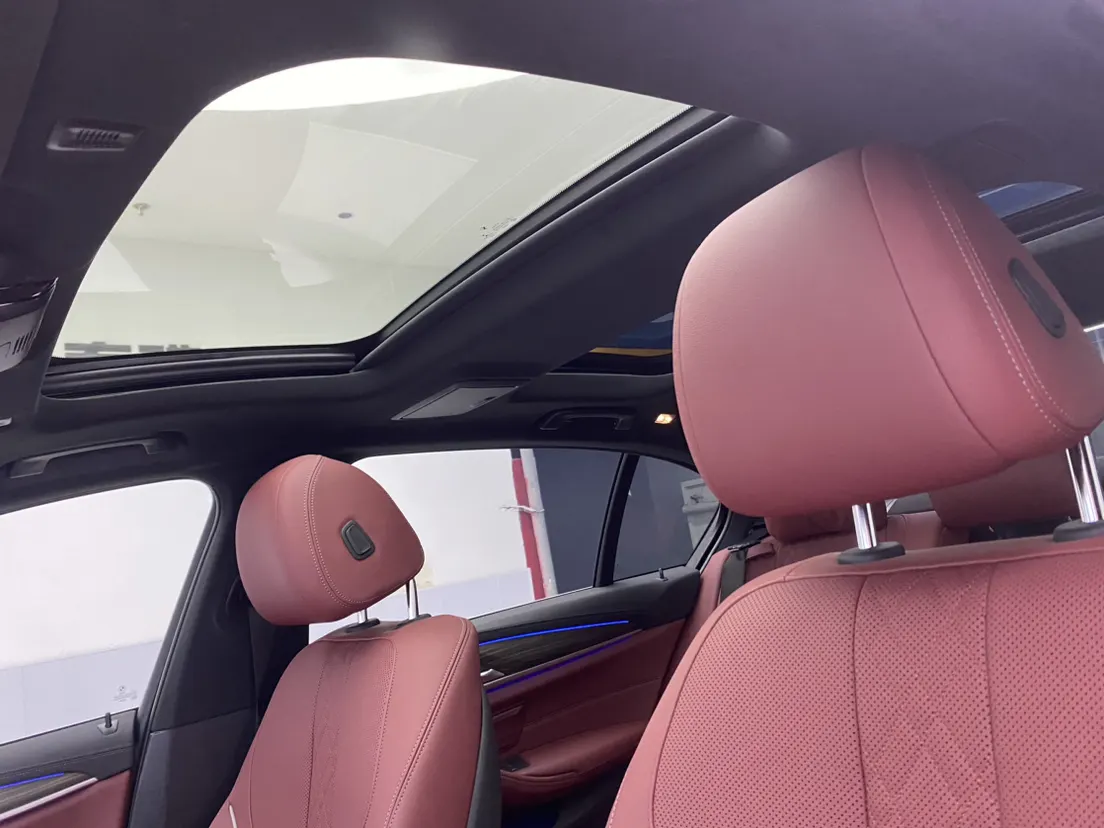 BMW 530Li, 2022 24