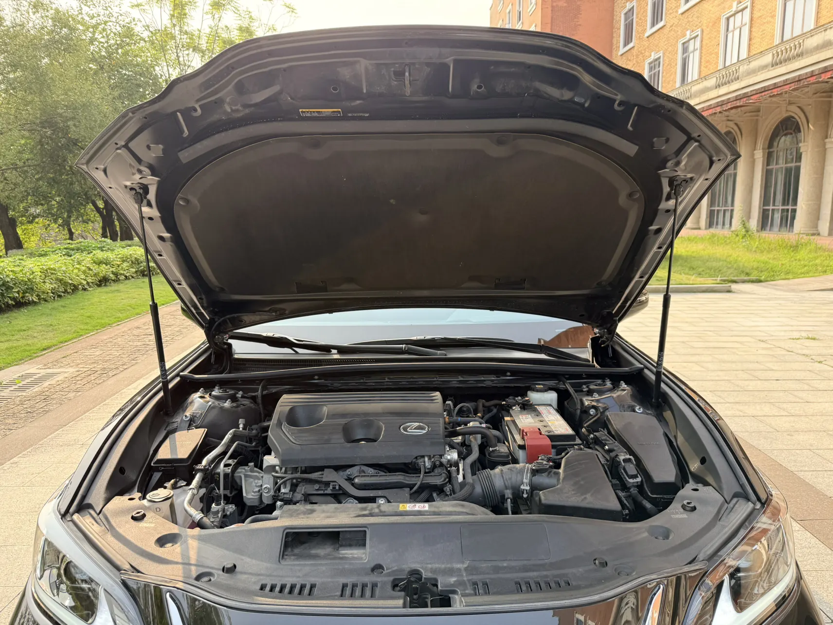 Lexus ES 200, 2024 13