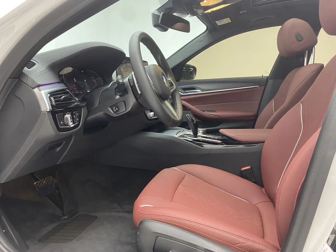 BMW 530Li, 2021 18