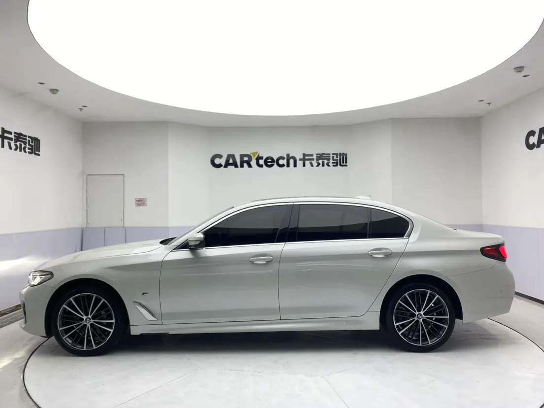BMW 530Li, 2021 8
