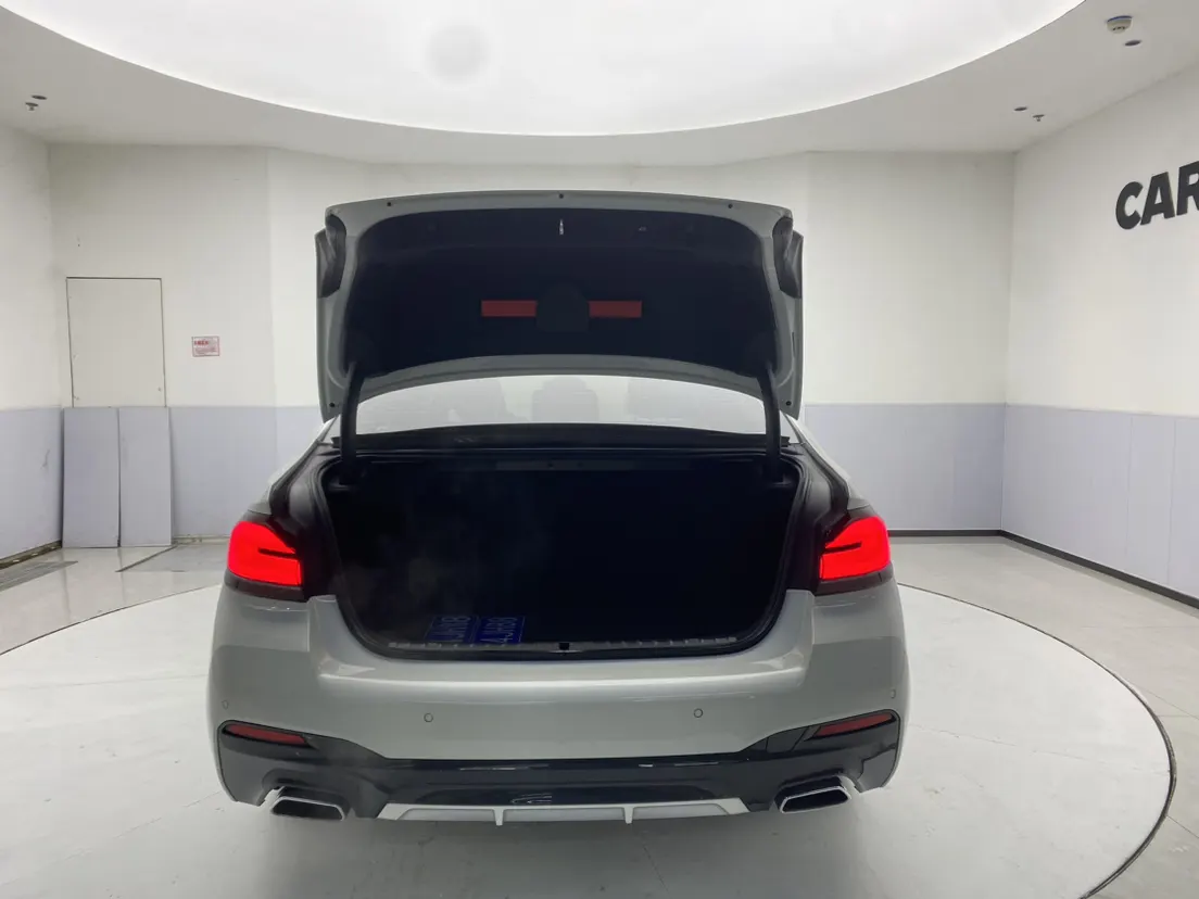 BMW 530Li, 2021 31