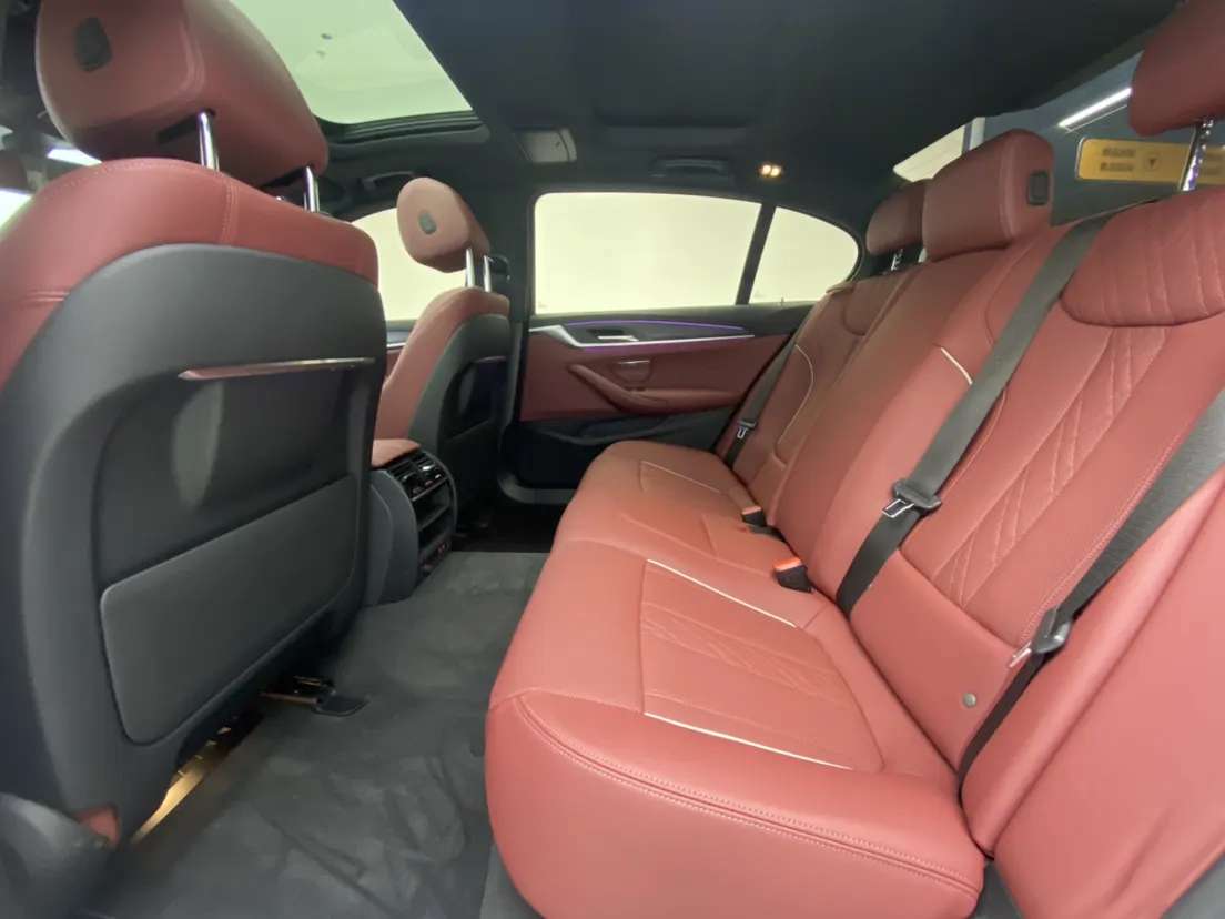 BMW 530Li, 2021 24