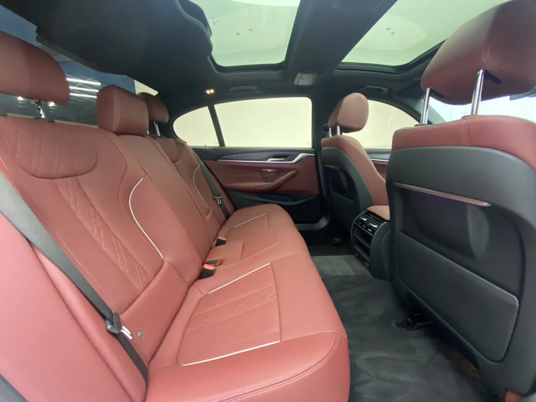 BMW 530Li, 2021 25