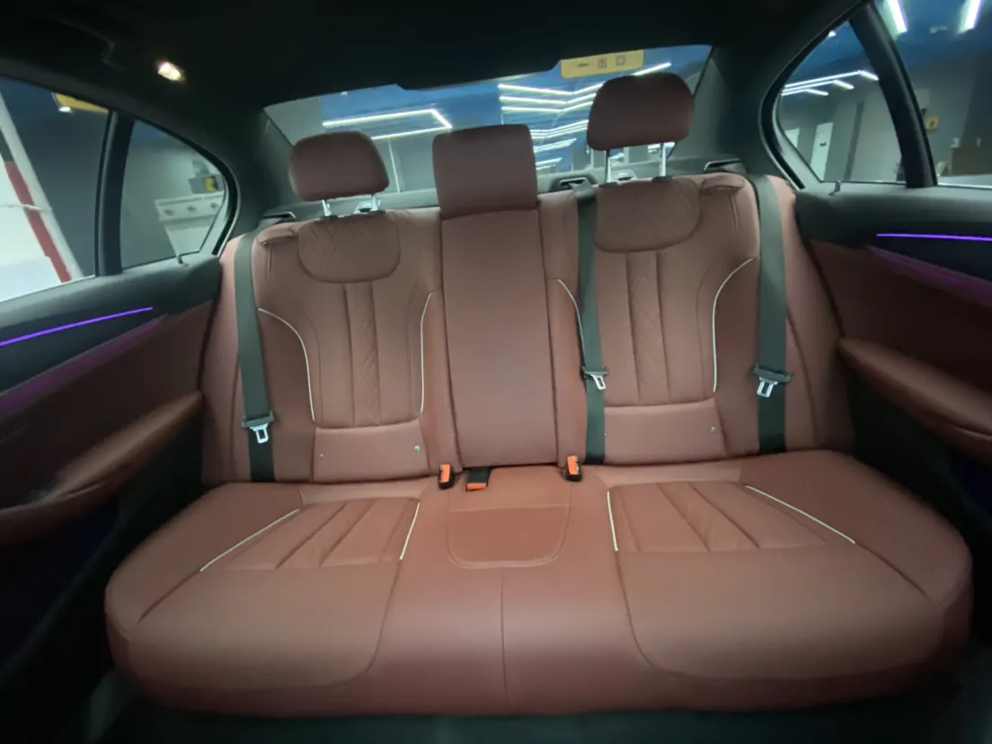 BMW 530Li, 2021 20
