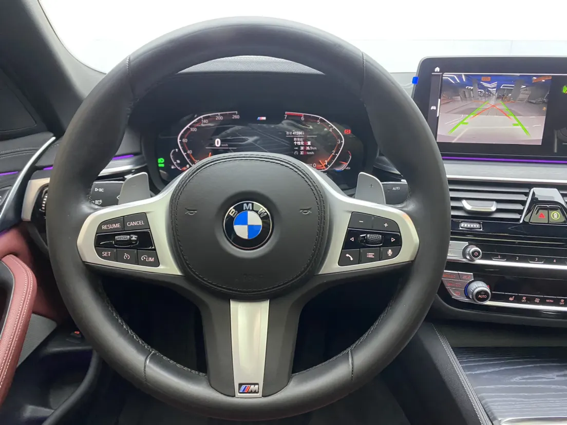 BMW 530Li, 2021 15