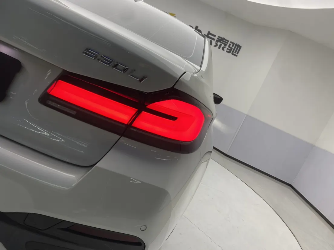 BMW 530Li, 2021 10