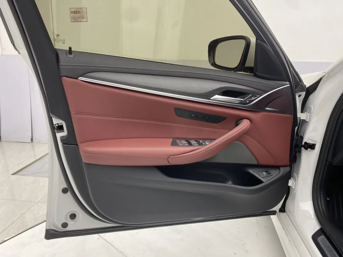 BMW 530Li, 2021 17