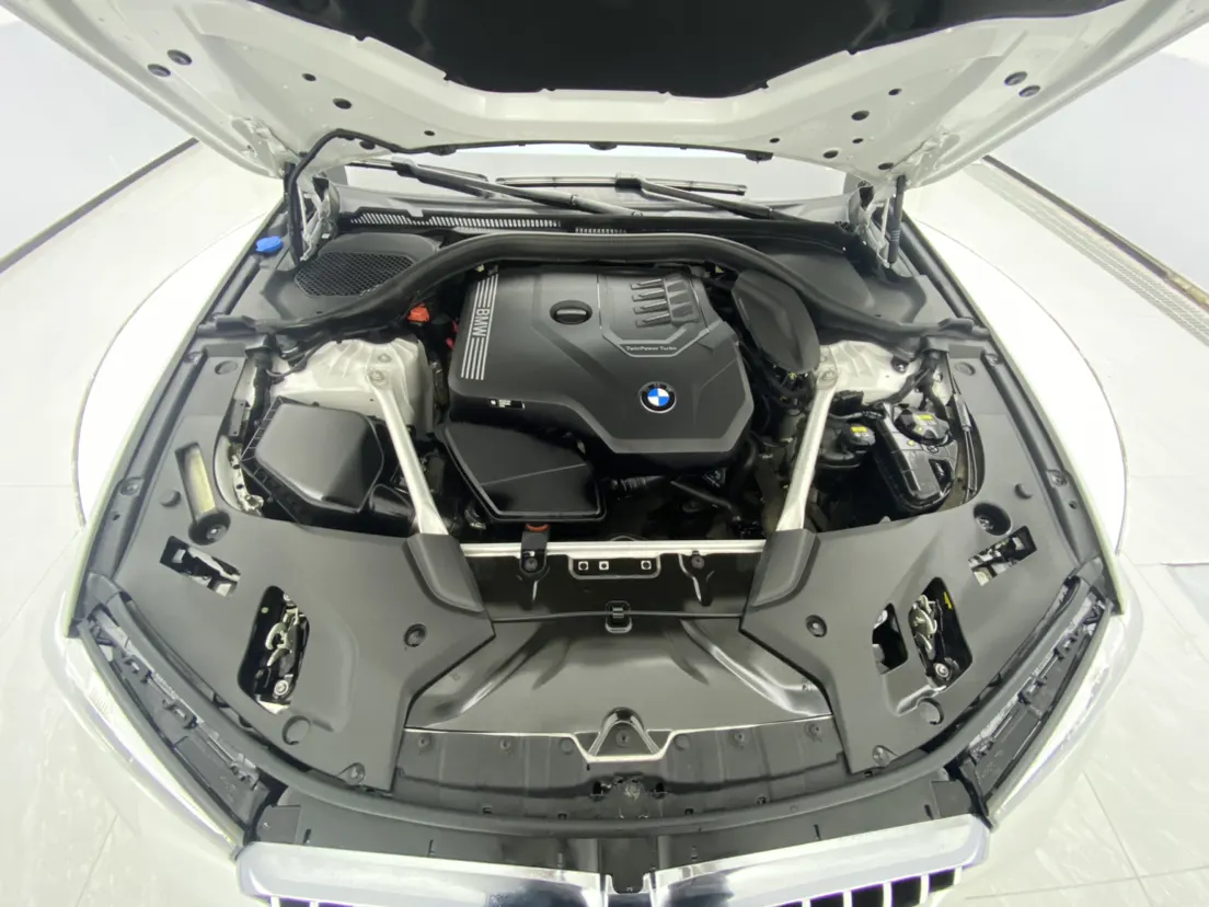BMW 530Li, 2021 12