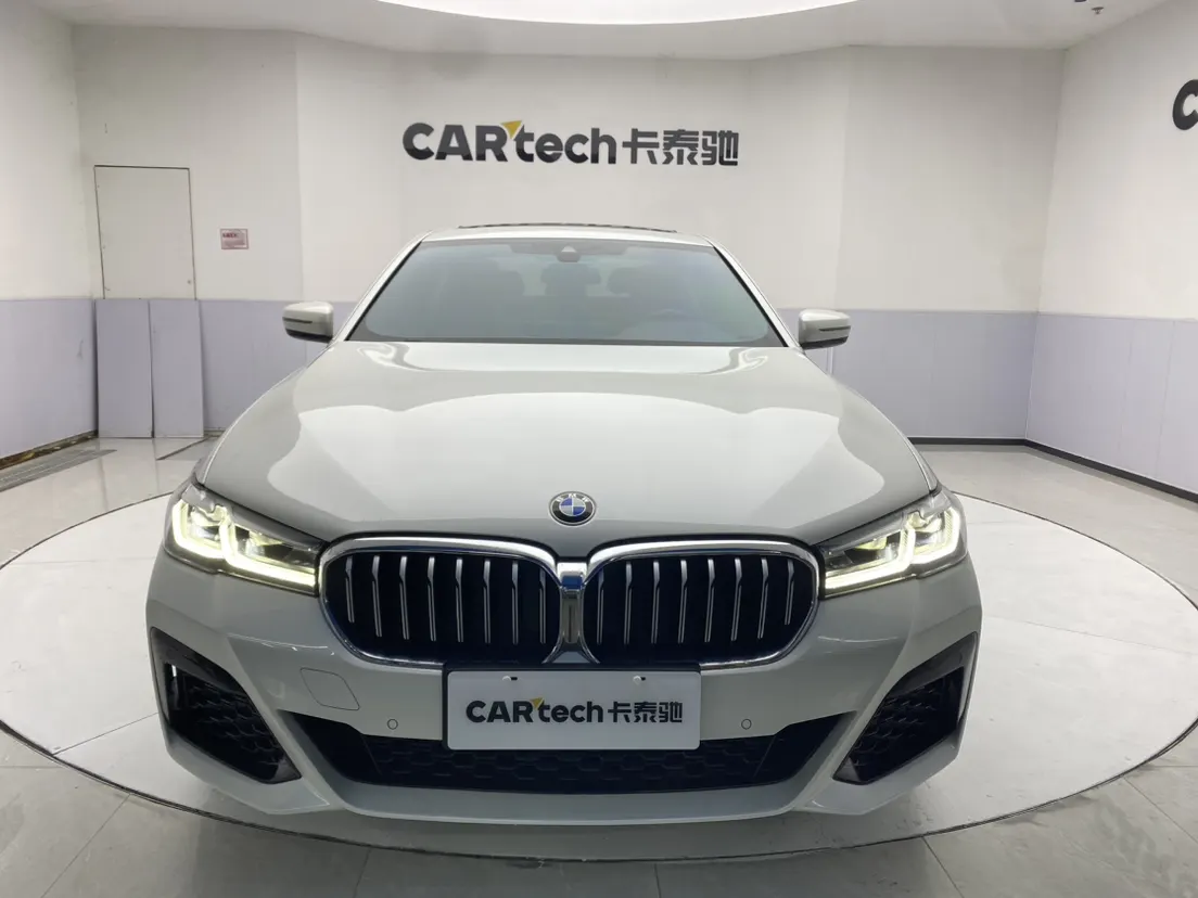 BMW 530Li, 2021 3