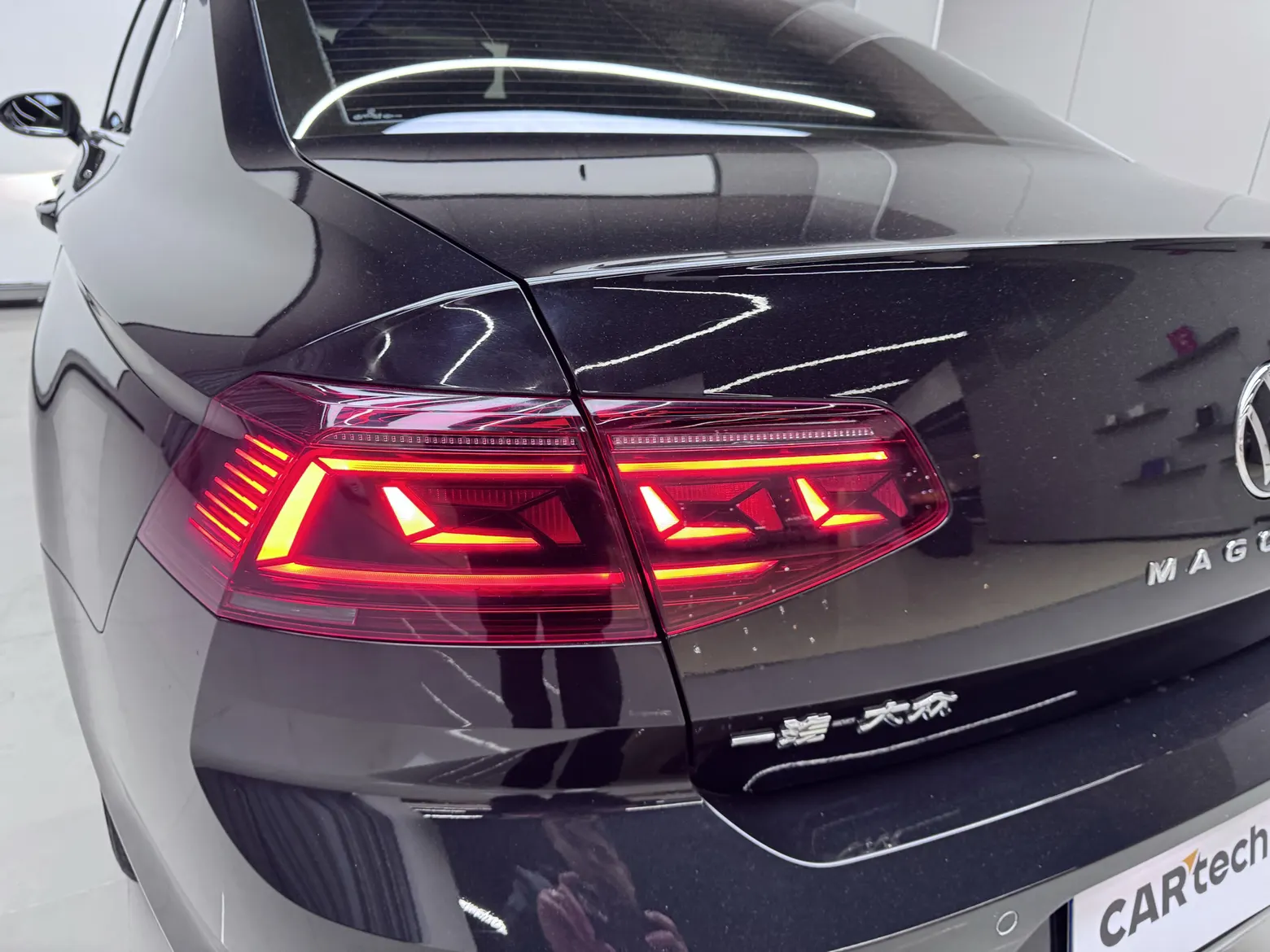 Volkswagen Magotan, 2023 6
