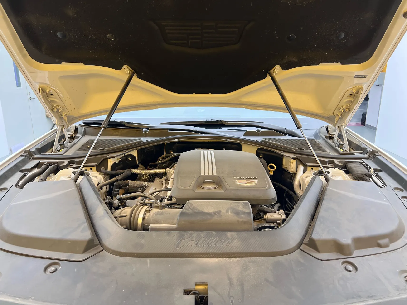 Cadillac CT6, 2024 10