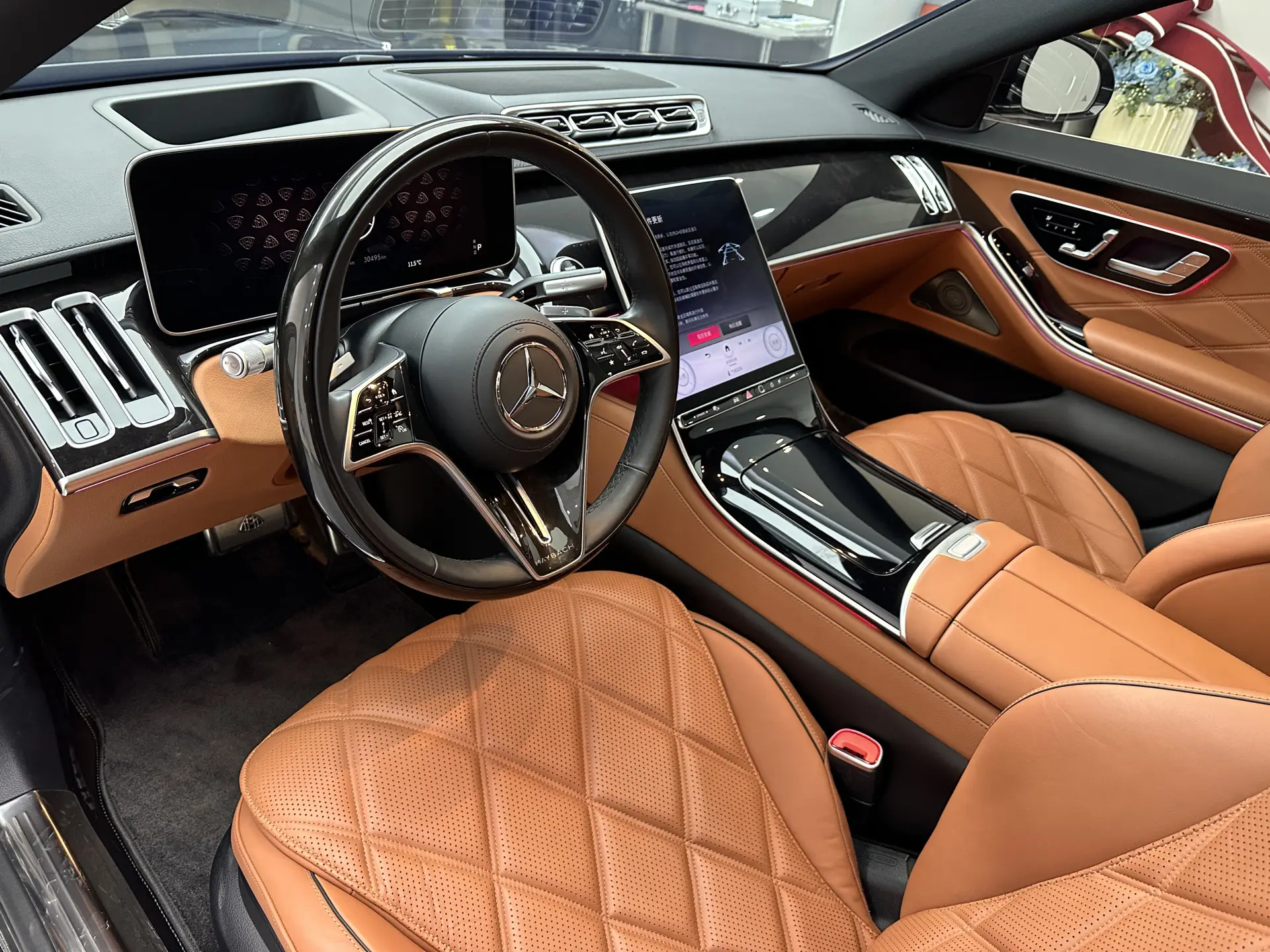 Mercedes-Benz S 480 4MATIC, 2025 12