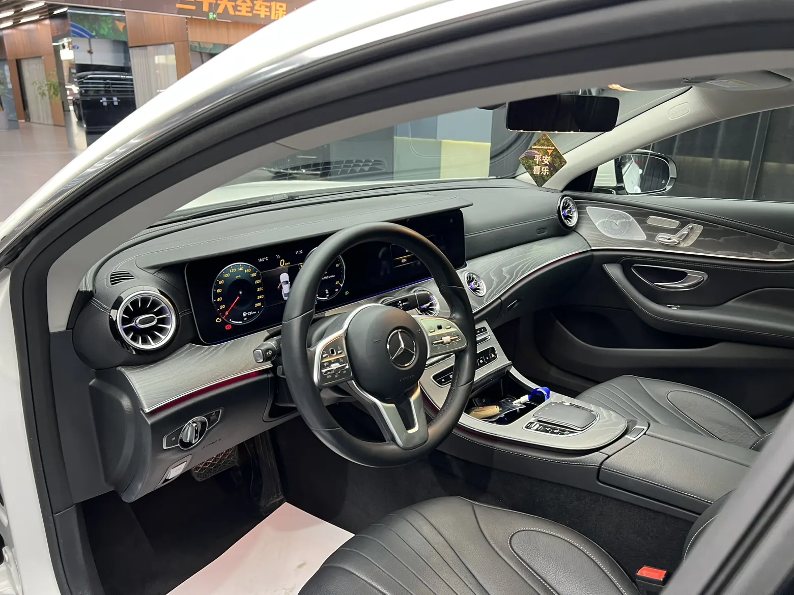 Mercedes-Benz CLS 300, 2021 18