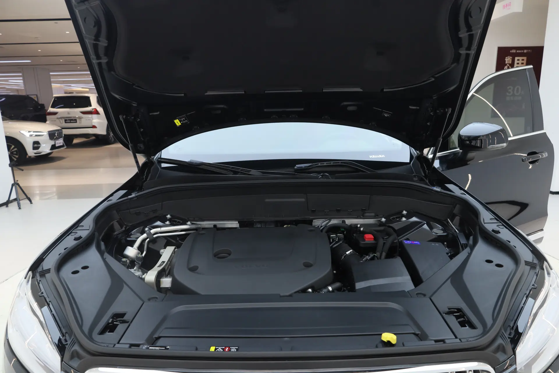 Volvo XC90, 2024 12