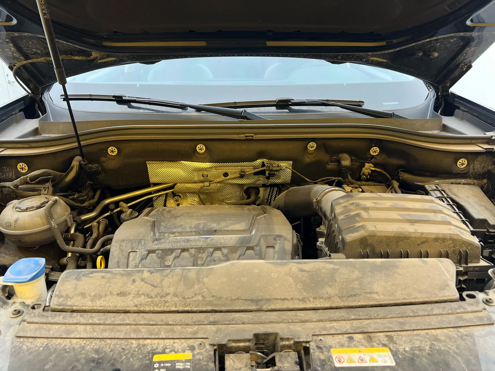 Volkswagen Teramont X, 2024 9