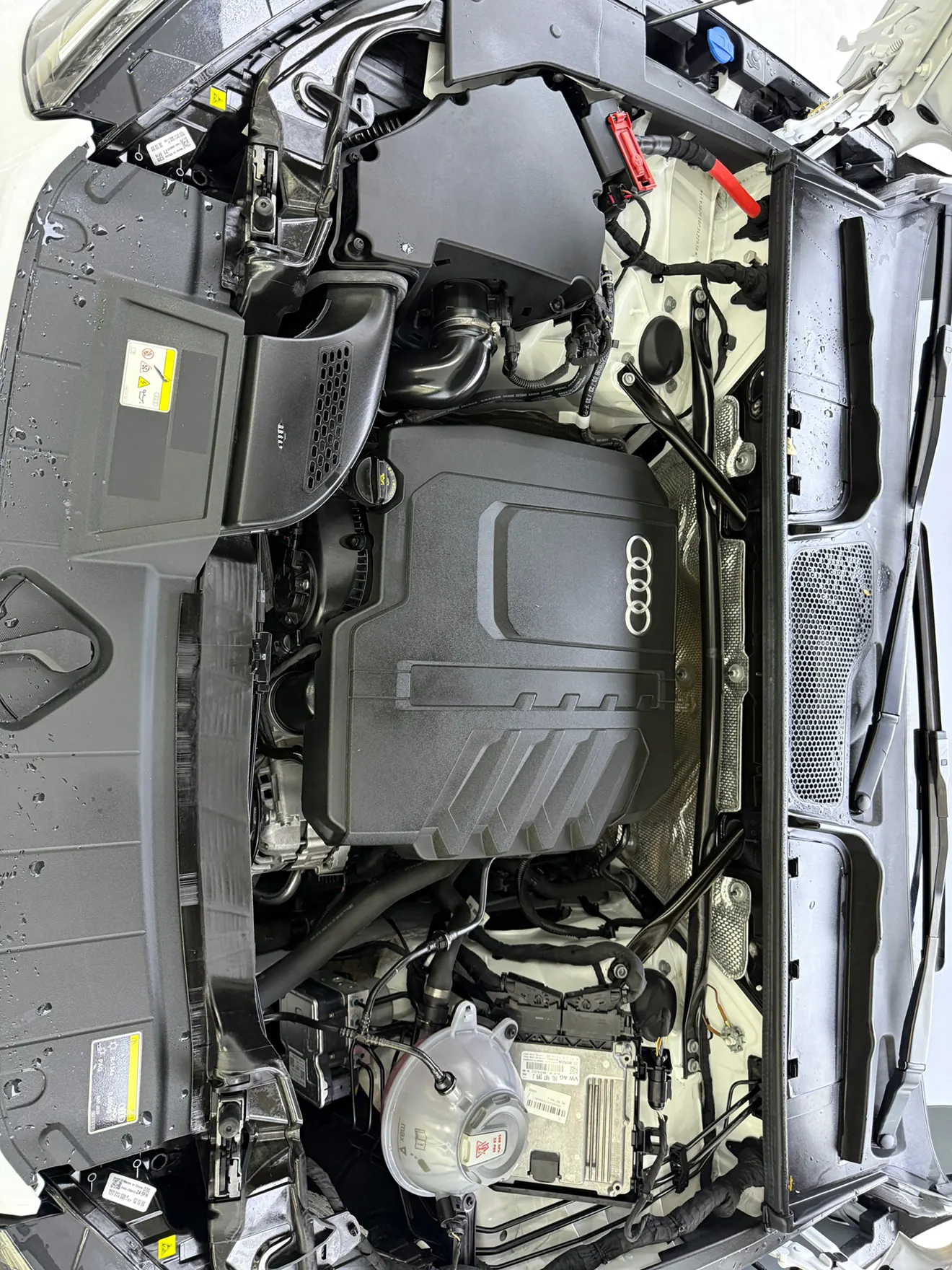 Audi Q5L 40, 2024 12