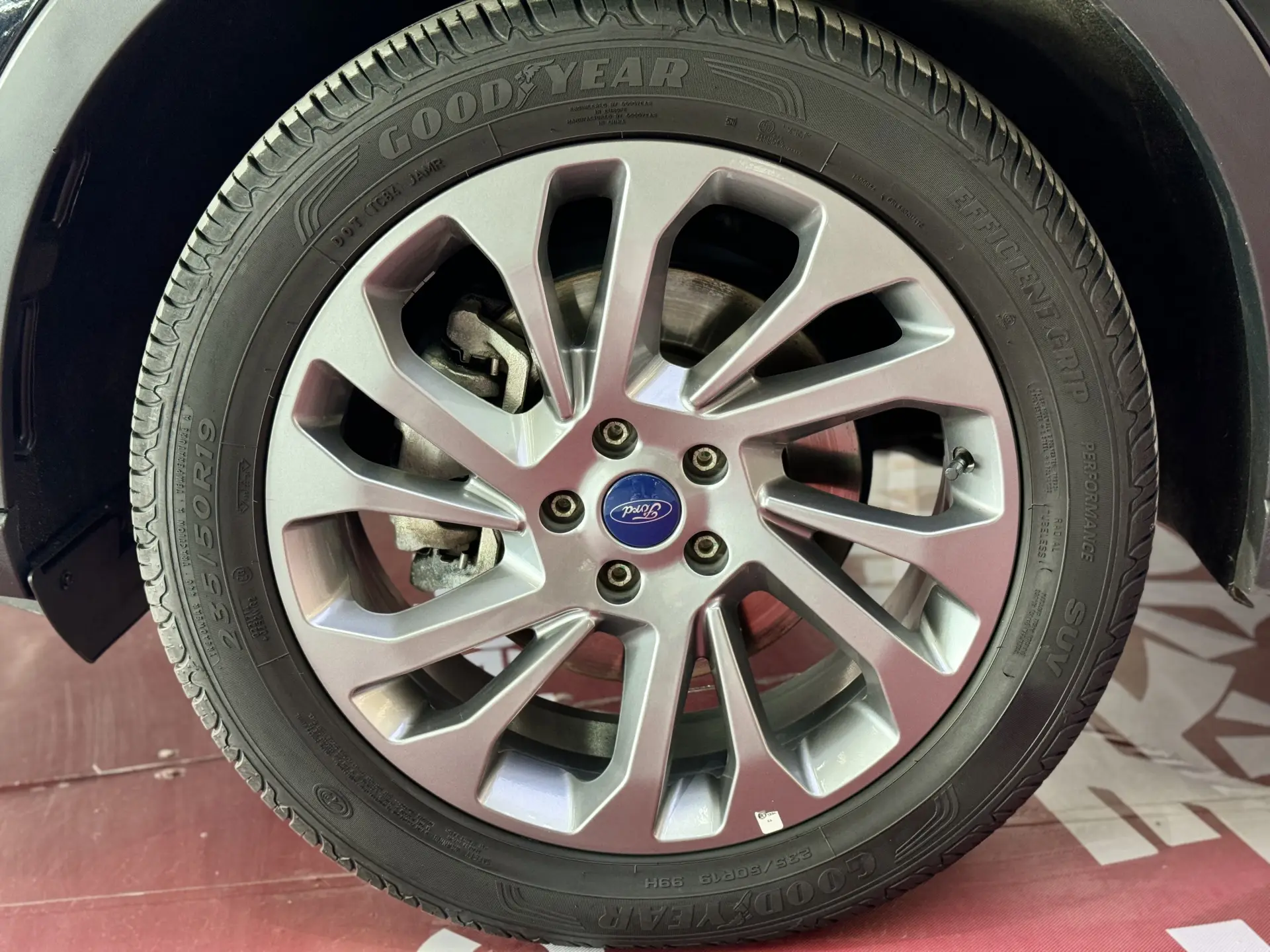Ford Equator, 2023 11