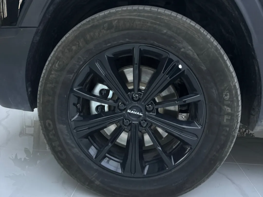 Haval Raptor, 2025 11