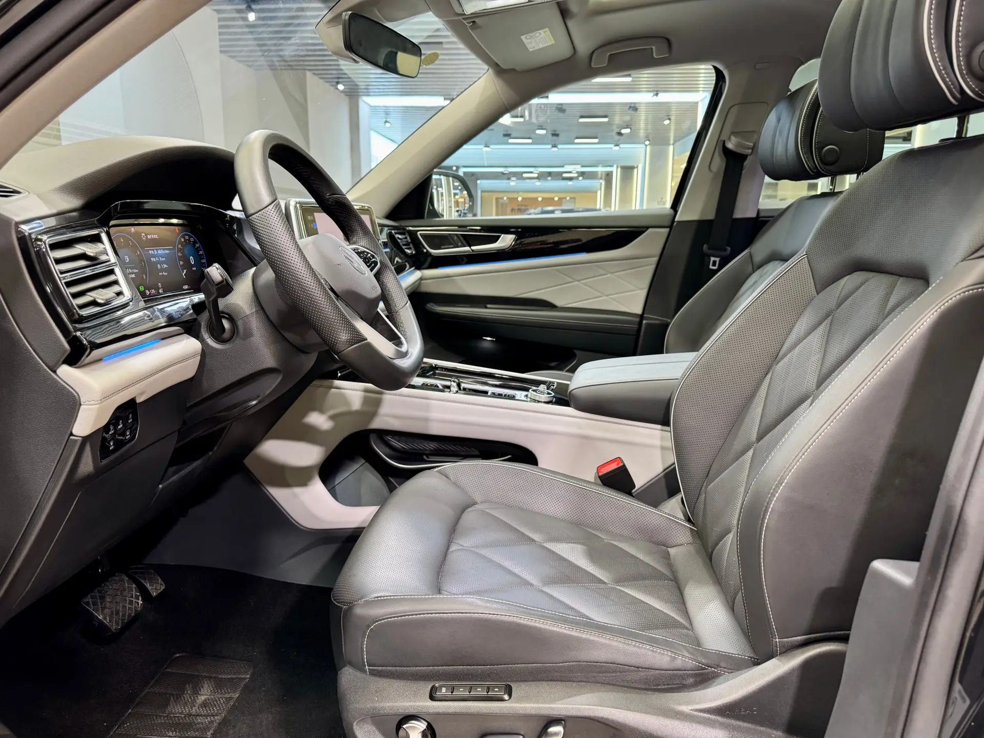 Volkswagen Teramont, 2024 13