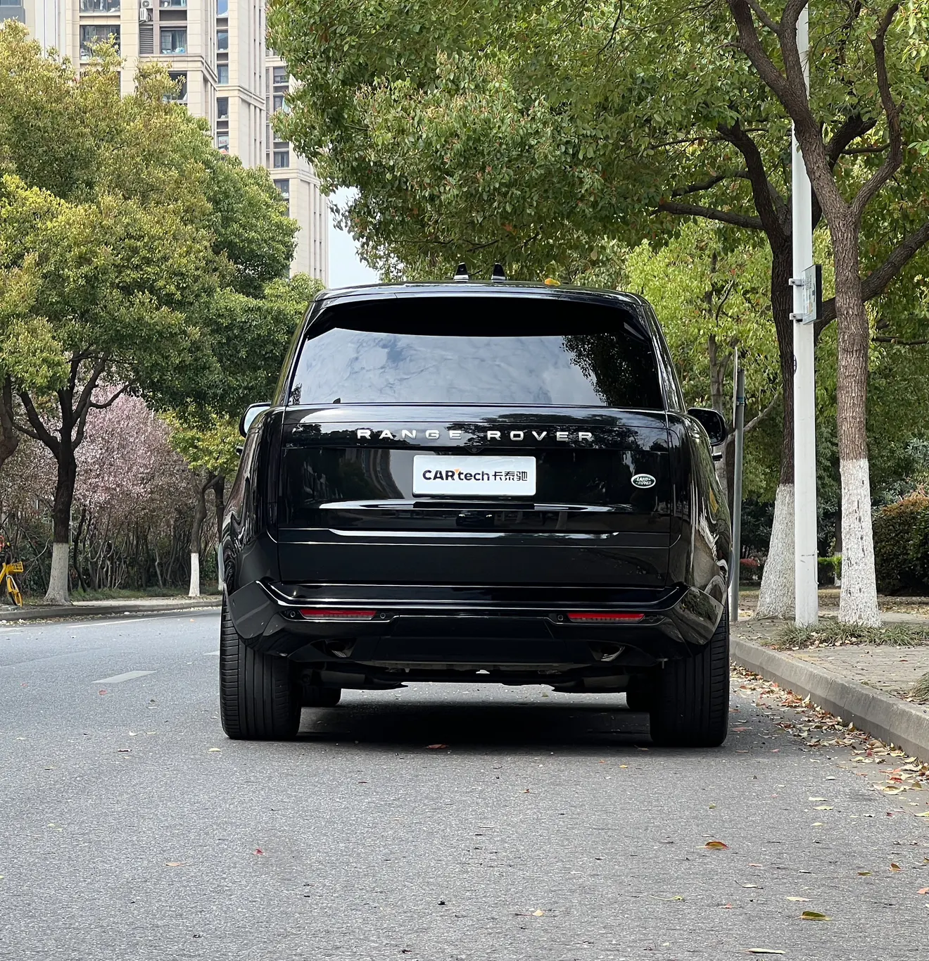 Land Rover Range Rover, 2024 все фото