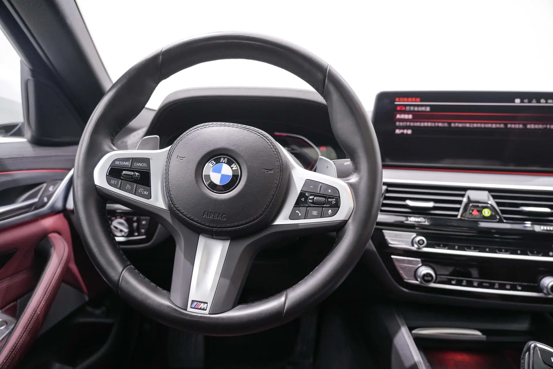 BMW 530Li, 2022 17