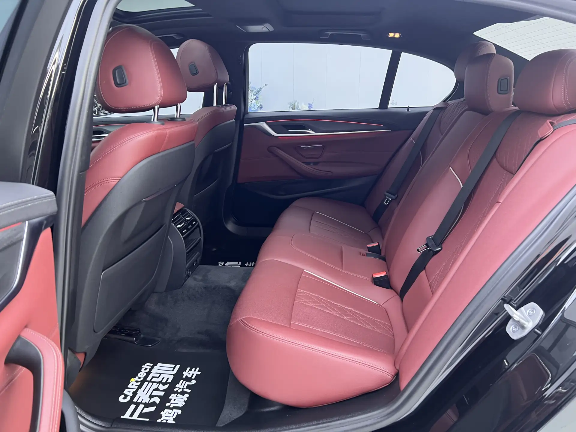 BMW 530Li, 2022 19