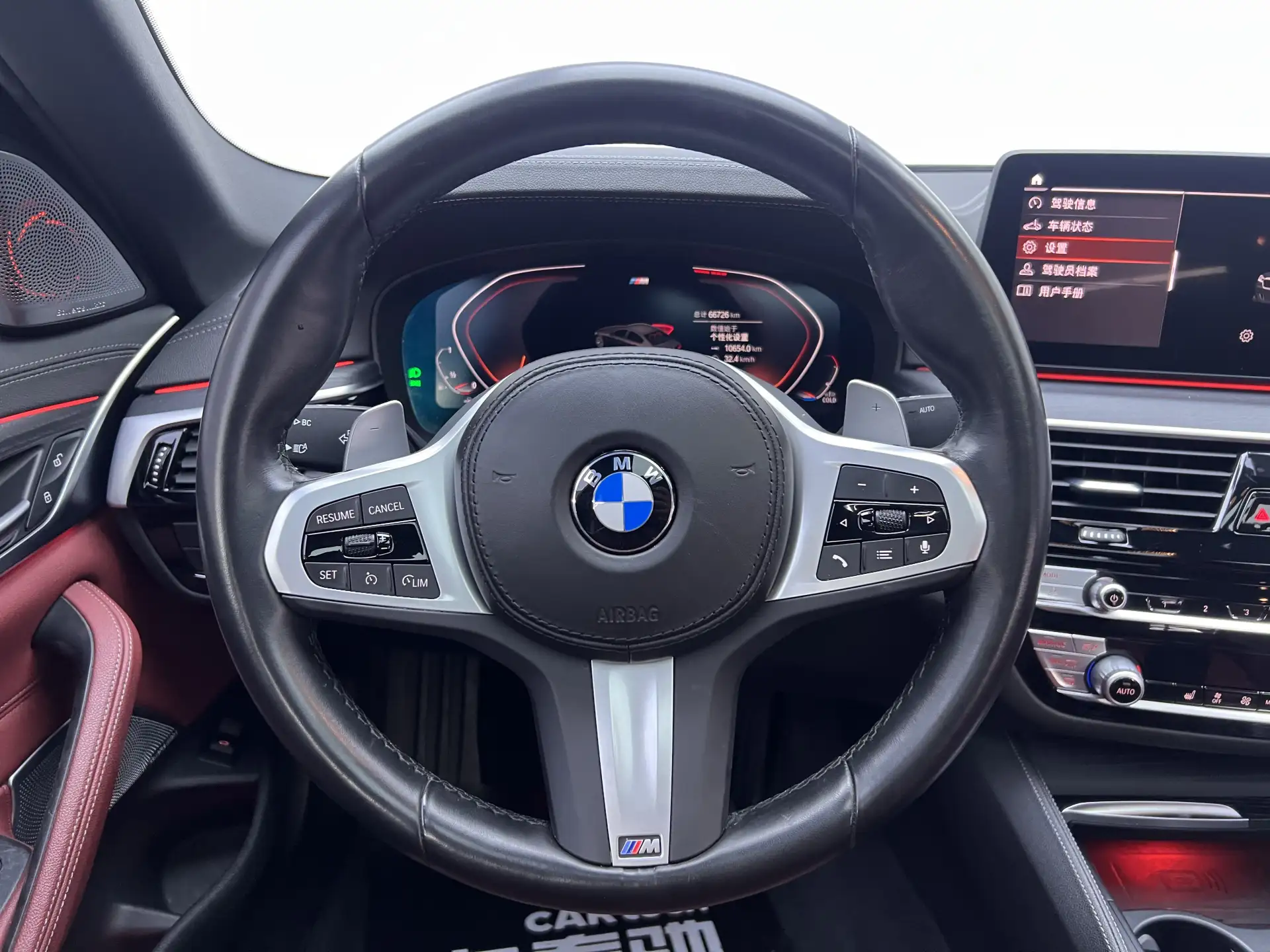 BMW 530Li, 2022 14
