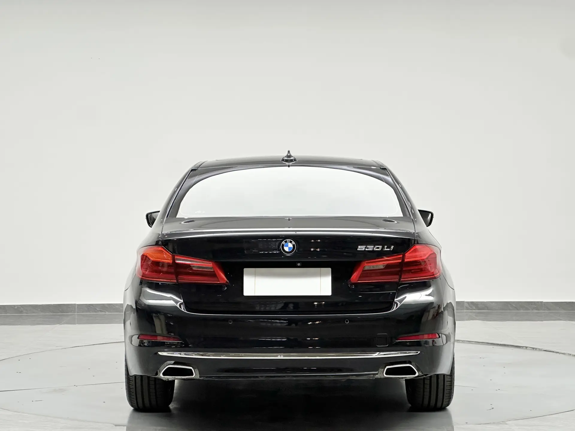 BMW 530Li, 2018 15
