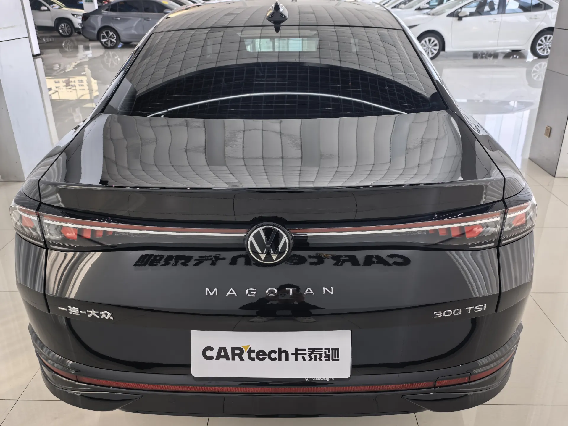 Volkswagen Magotan, 2025 все фото