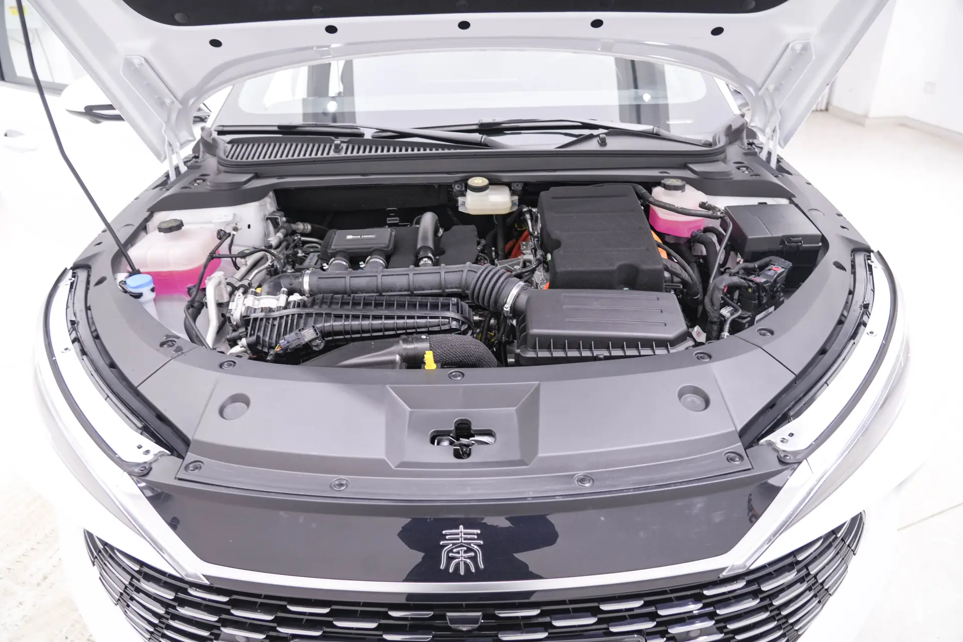 BYD Qin, 2025 12
