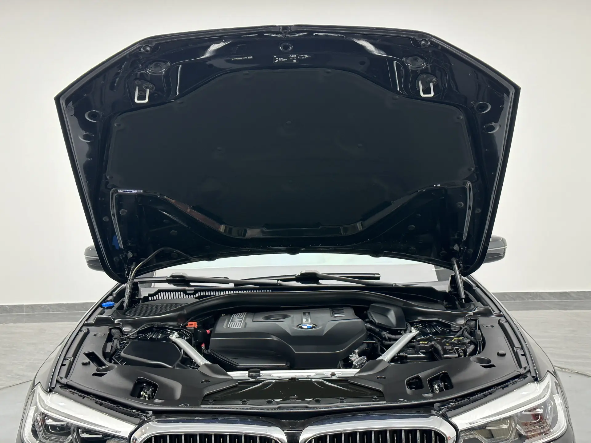 BMW 530Li, 2018 30